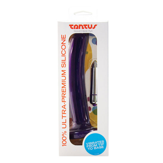 Tantus Leisure Vibe Midnight Purple